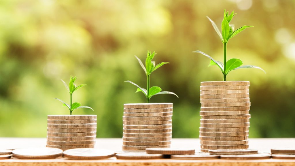 Take Advantage of These Features of Your Employer Retirement Plan to Maximize Your Savings | Growing Coins | DESMO Wealth Advisors, LLC