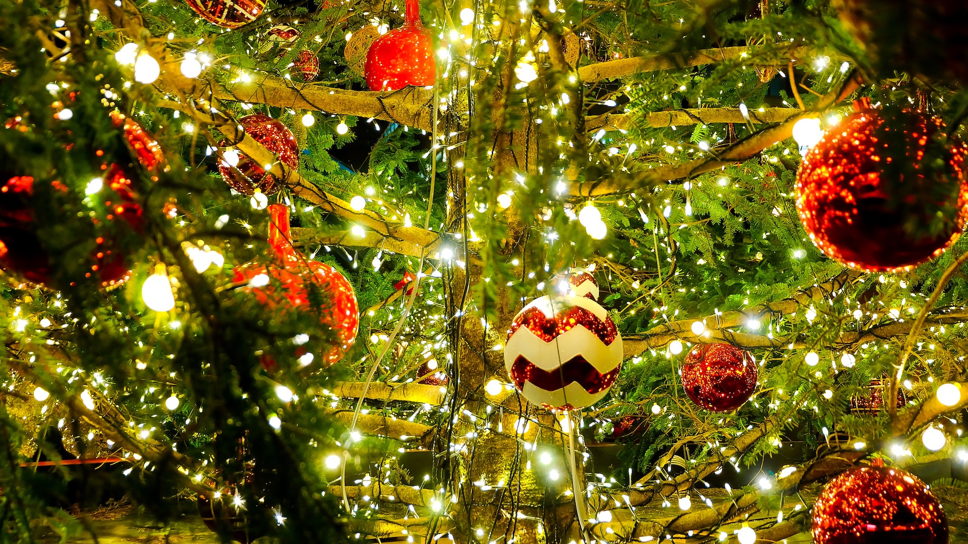 Be Happy Now! | Christmas Tree | DESMO Wealth Advisors, LLC